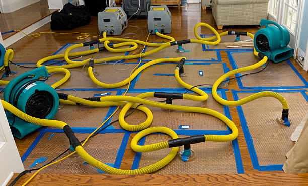 Professional Basement Flood Cleanup technician working in Greenwood, AR